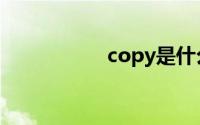 copy是什么意思中文
