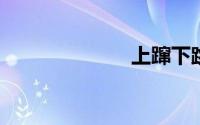 上蹿下跳的意思