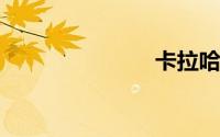 卡拉哈里沙漠