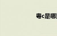 粤c是哪里的车牌