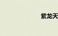 紫龙天布袋戏