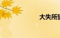大失所望的意思