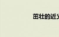 茁壮的近义词是什么