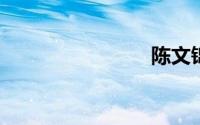 陈文锦结局