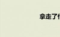 拿走了什么歌词