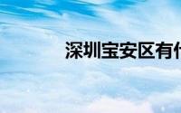 深圳宝安区有什么好玩的地方