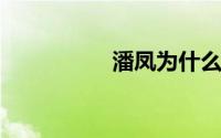 潘凤为什么叫无双上将