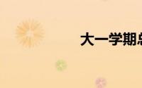 大一学期总结800字