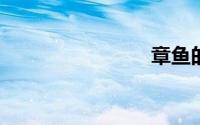 章鱼的英文