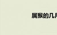 属猴的几月出生最好