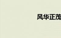 风华正茂的近义词