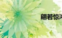 翩若惊鸿的意思