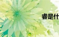 睿是什么意思