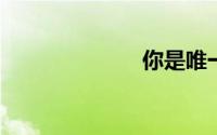 你是唯一的英文