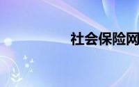社会保险网上查询系统
