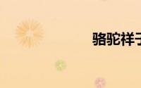 骆驼祥子第一章