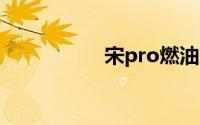 宋pro燃油版碰撞评测