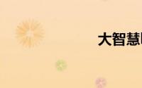 大智慧level-2