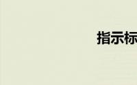指示标志是指