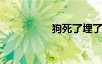 狗死了埋了有什么禁忌