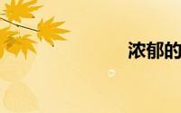 浓郁的近义词