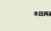 丰田两厢车大全