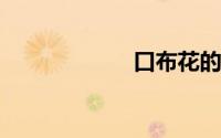 口布花的折法图解