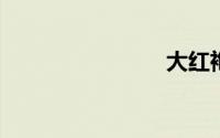 大红袍母树