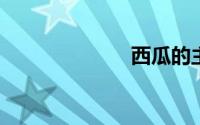 西瓜的主要价值