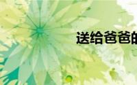 送给爸爸的生日礼物