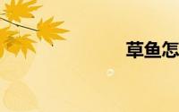 草鱼怎么切片