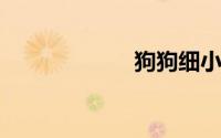 狗狗细小死前征兆