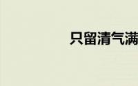 只留清气满乾坤的意思