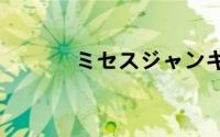 ミセスジャンキー ボリューム