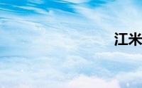 江米甜酒