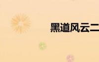 黑道风云二十年电视剧