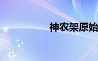 神农架原始森林最深处
