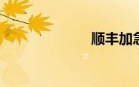 顺丰加急多少钱