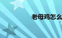 老母鸡怎么炖最有营养