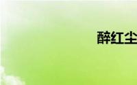 醉红尘电视剧