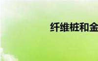 纤维桩和金属桩的区别