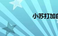 小苏打加白醋的作用