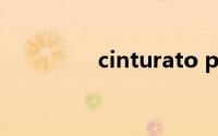 cinturato p7是什么轮胎