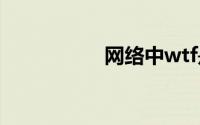 网络中wtf是什么意思