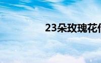 23朵玫瑰花代表什么意思