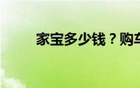 家宝多少钱？购车宝典与优惠速递