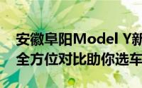 安徽阜阳Model Y新款价格2025款多少钱？全方位对比助你选车