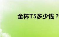 金杯T5多少钱？购车优惠大揭秘
