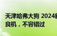 天津哈弗大狗 2024新款价格，换代前的购车良机，不容错过