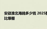 安徽淮北海鸥多少钱 2025款落地价，价格再创新低，性价比爆棚